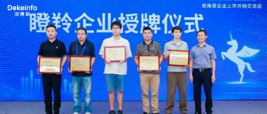 德科信息有限公司荣膺2025深圳“瞪羚企业”,信创与AI驱动高成长获权威认证